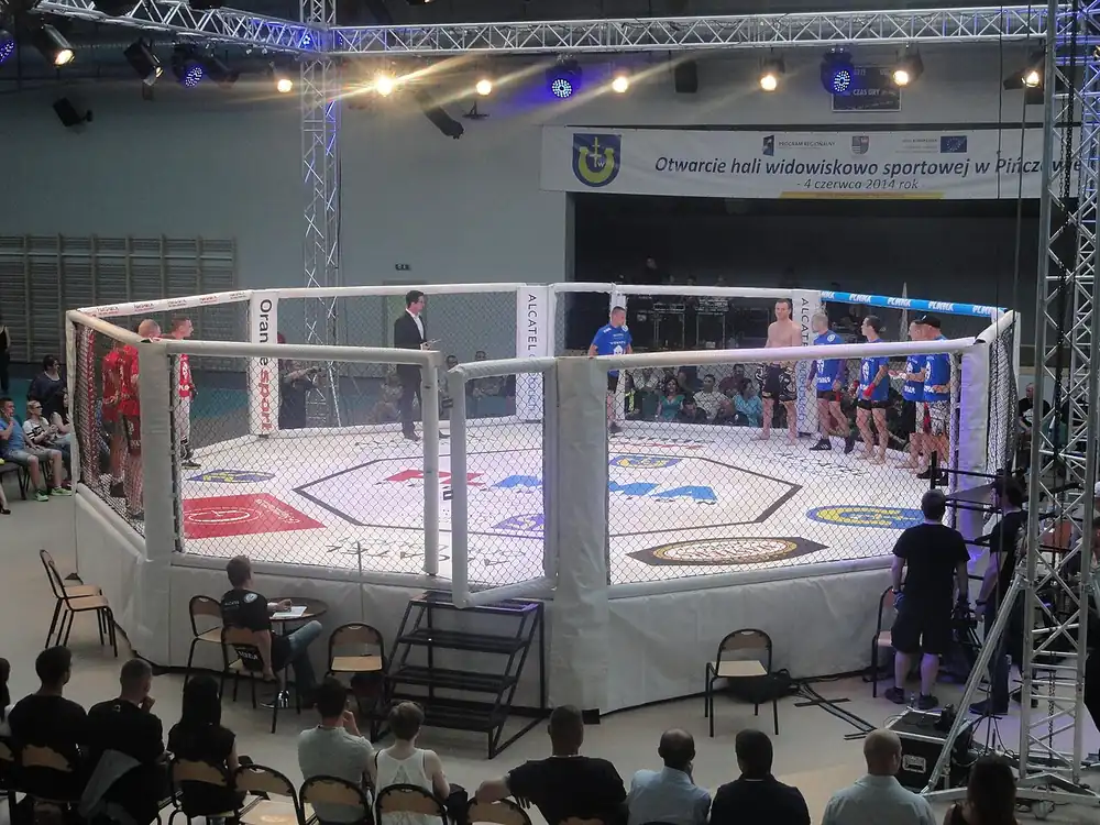 how to bet on ufc - MMA cage