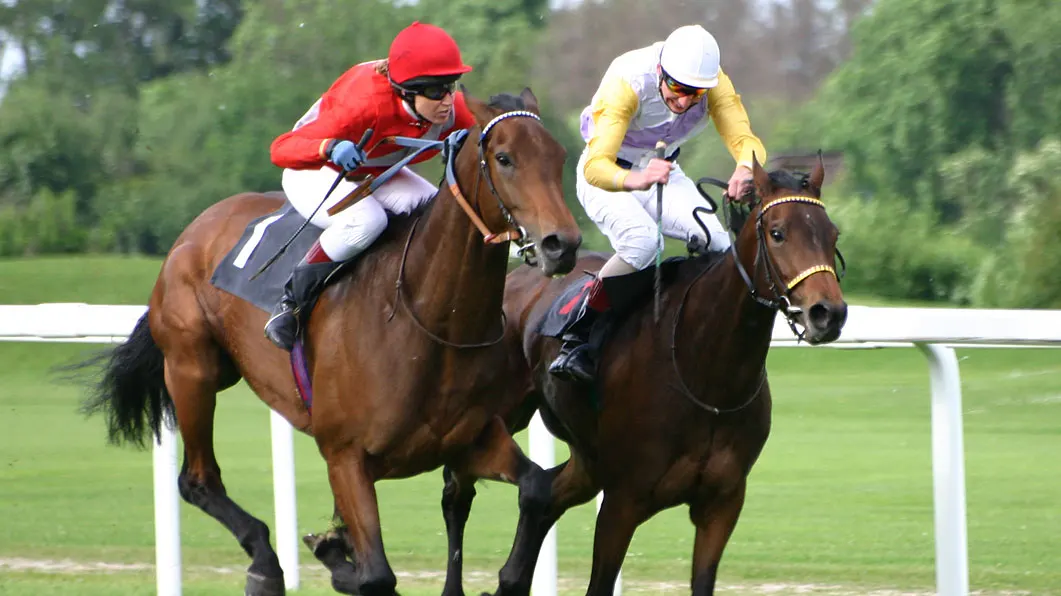 cheltenham betting friday - horse racing