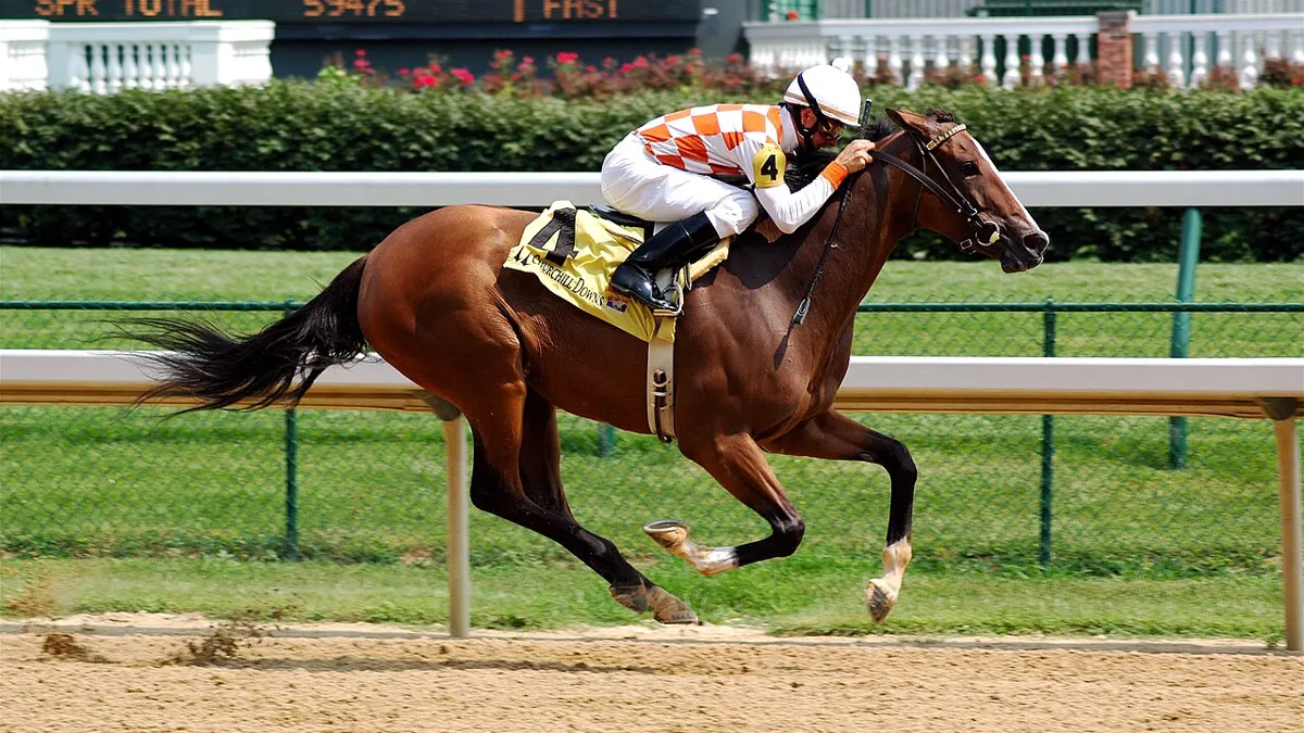 cheltenham betting tuesday - horse racing