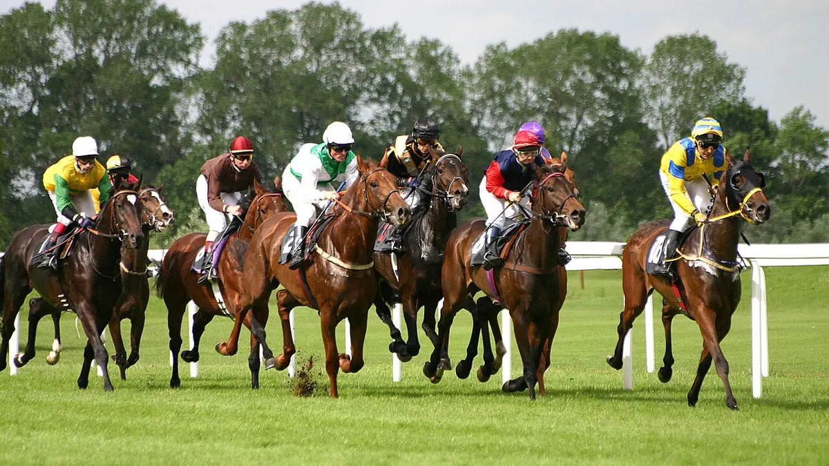 Horse racing - betting for irish oaks