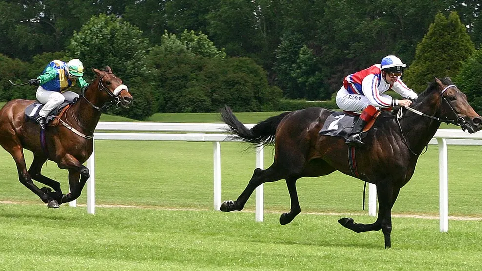 punchestown festival betting tips - horse racing