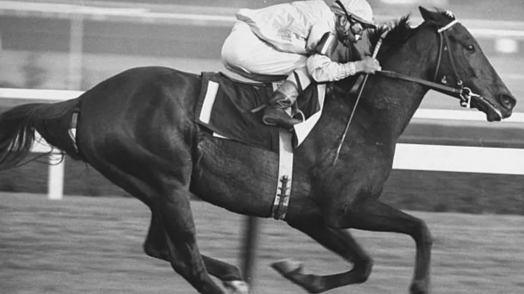 Horse racing - betting for irish open