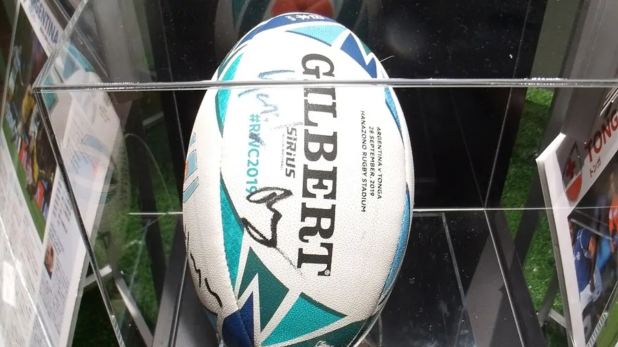 ireland v japan betting - rugby ball